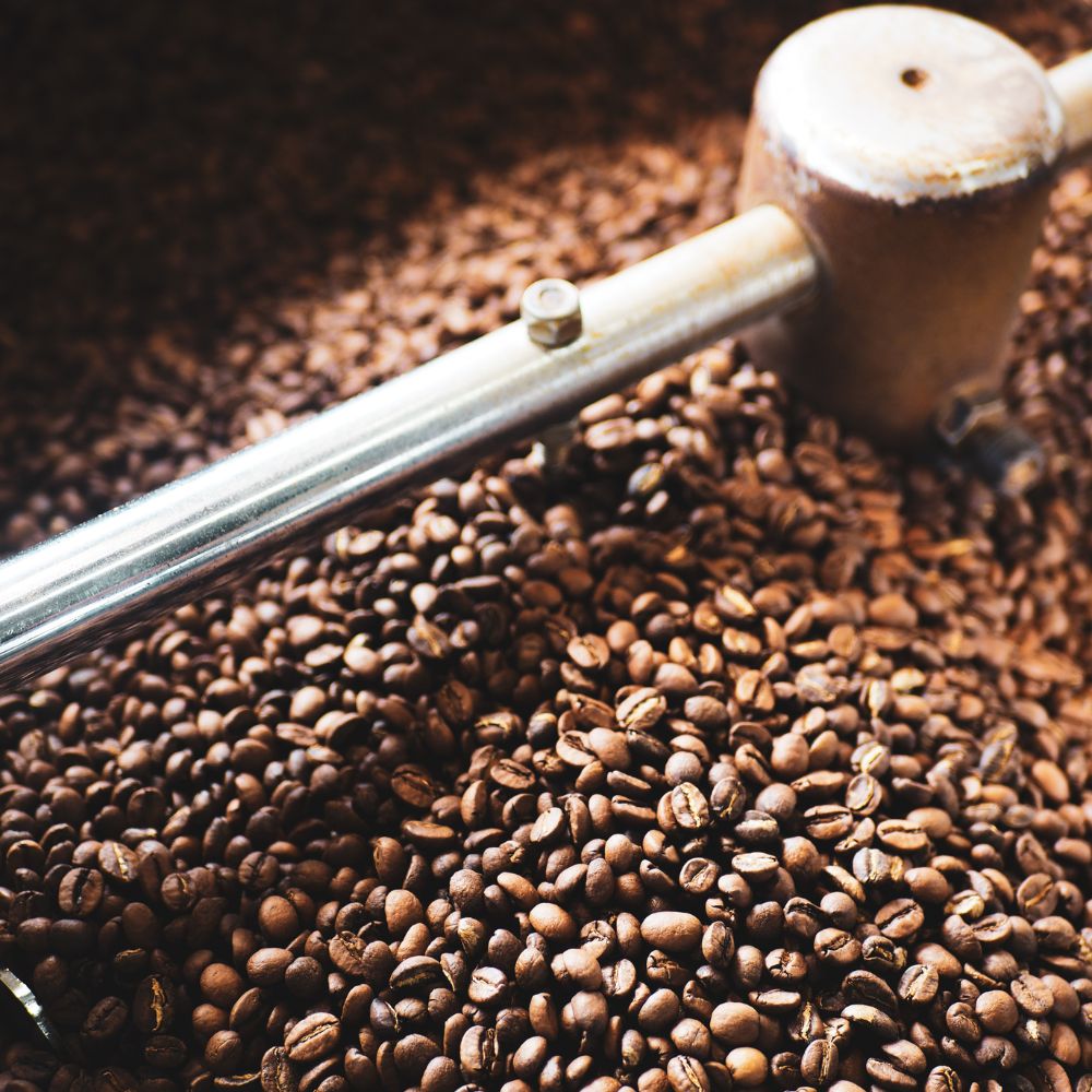 How Many Coffee Beans Per Cup?