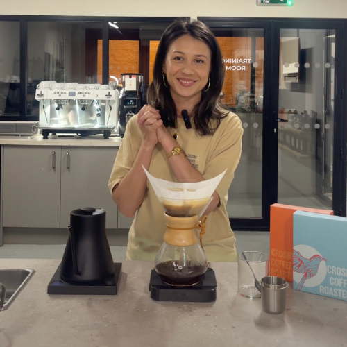 Chemex Brewing Guide