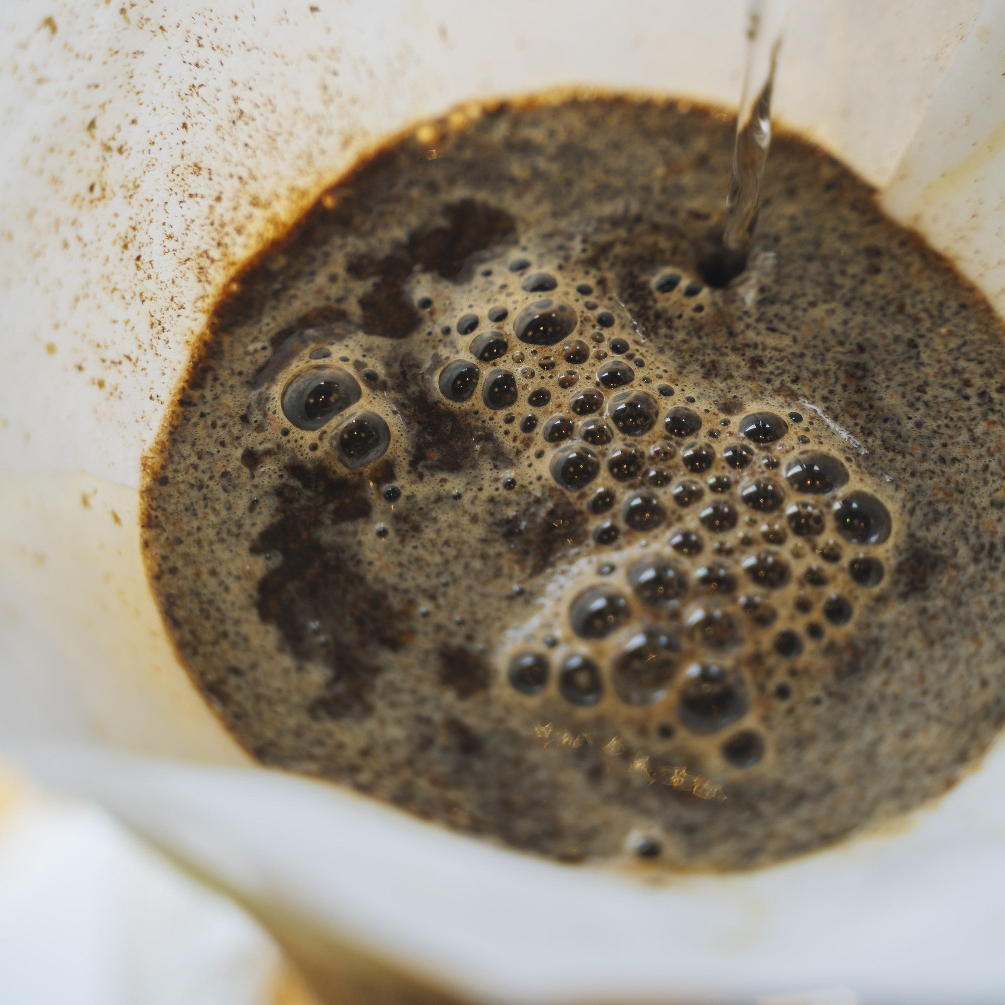 Chemex Filters