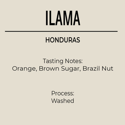 Honduras, Santa Barbara, Ilama
 Coffee