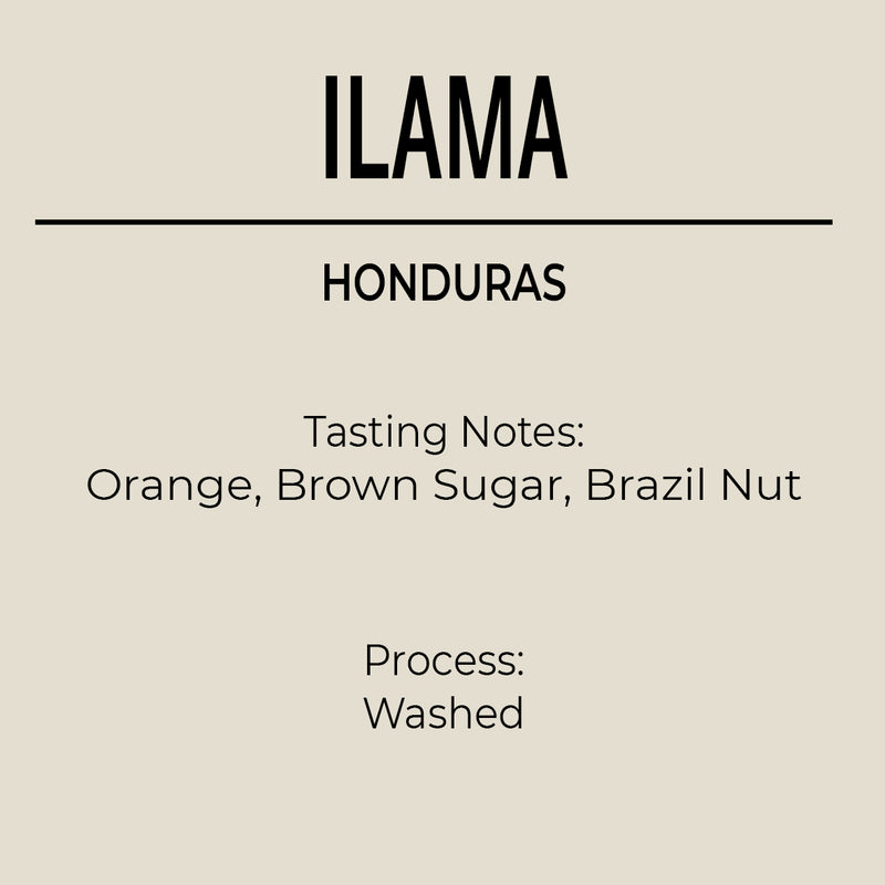 Honduras, Santa Barbara, Ilama Coffee