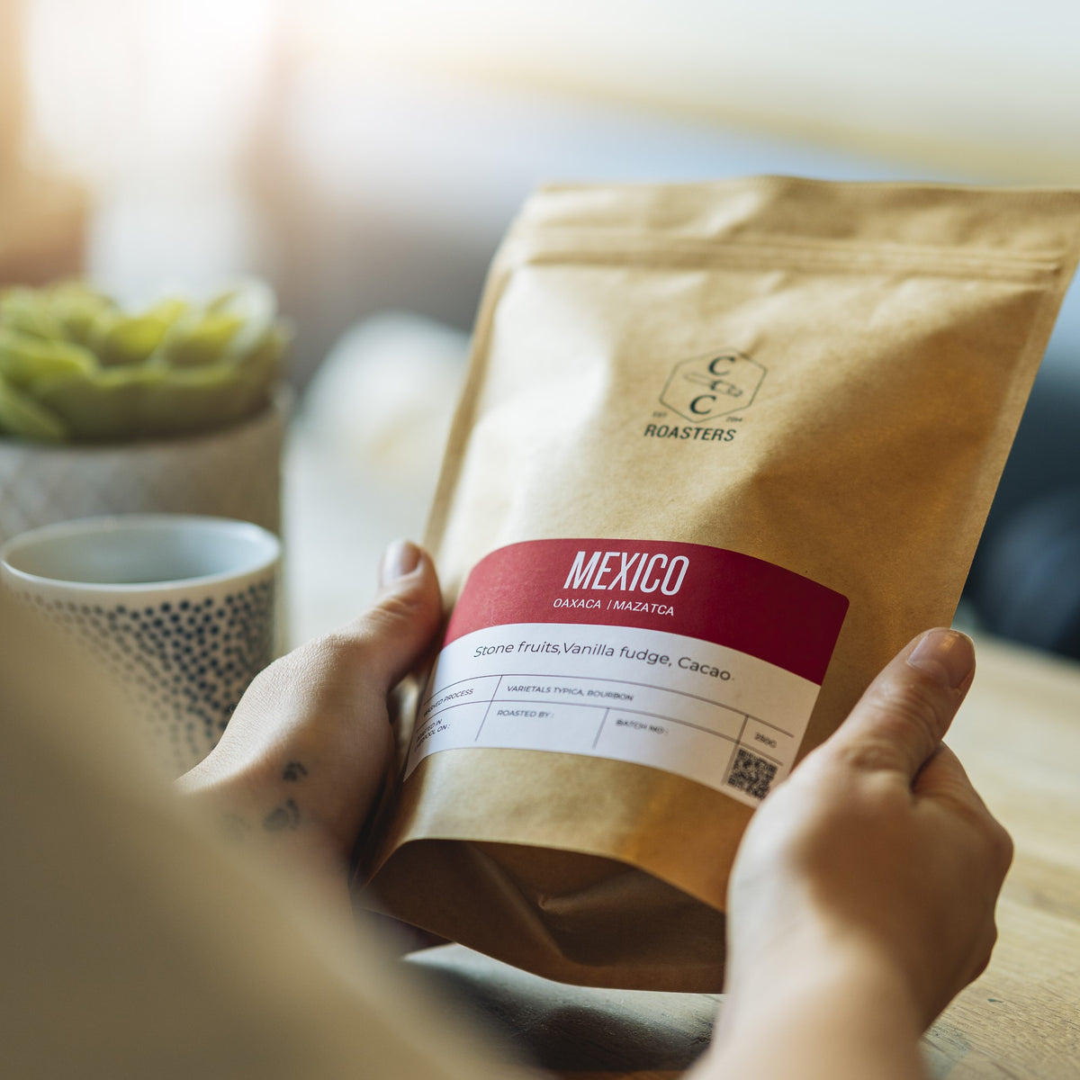 Mexico, Oaxaca, Mazatacas
