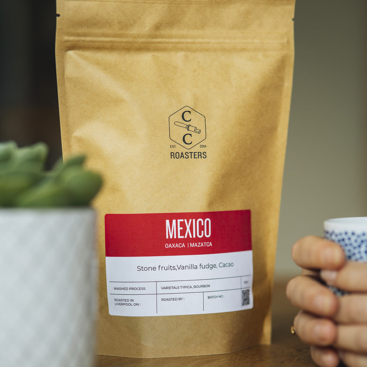 Mexico, Oaxaca, Mazatacas
