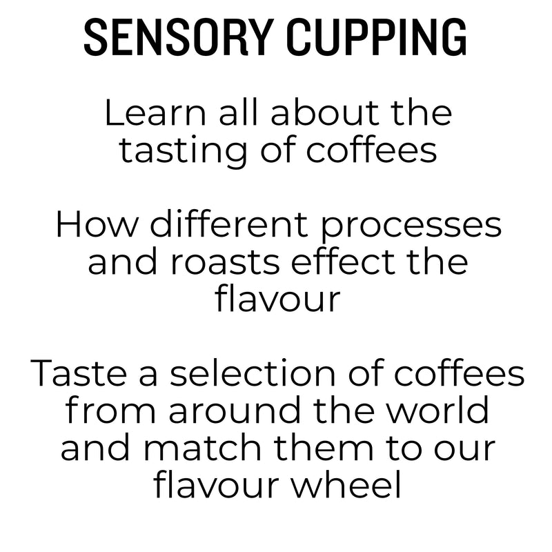 Sensory Cupping