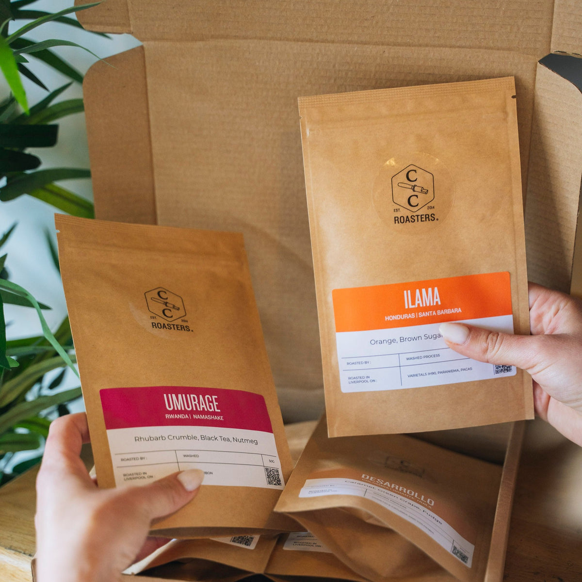 Single Origin Sample Box